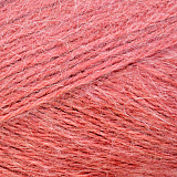 Ангара 088 брусника