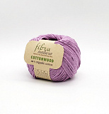 Cottonwood 41140 орхидея